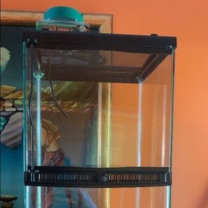 Reptile 🦎 tank !!